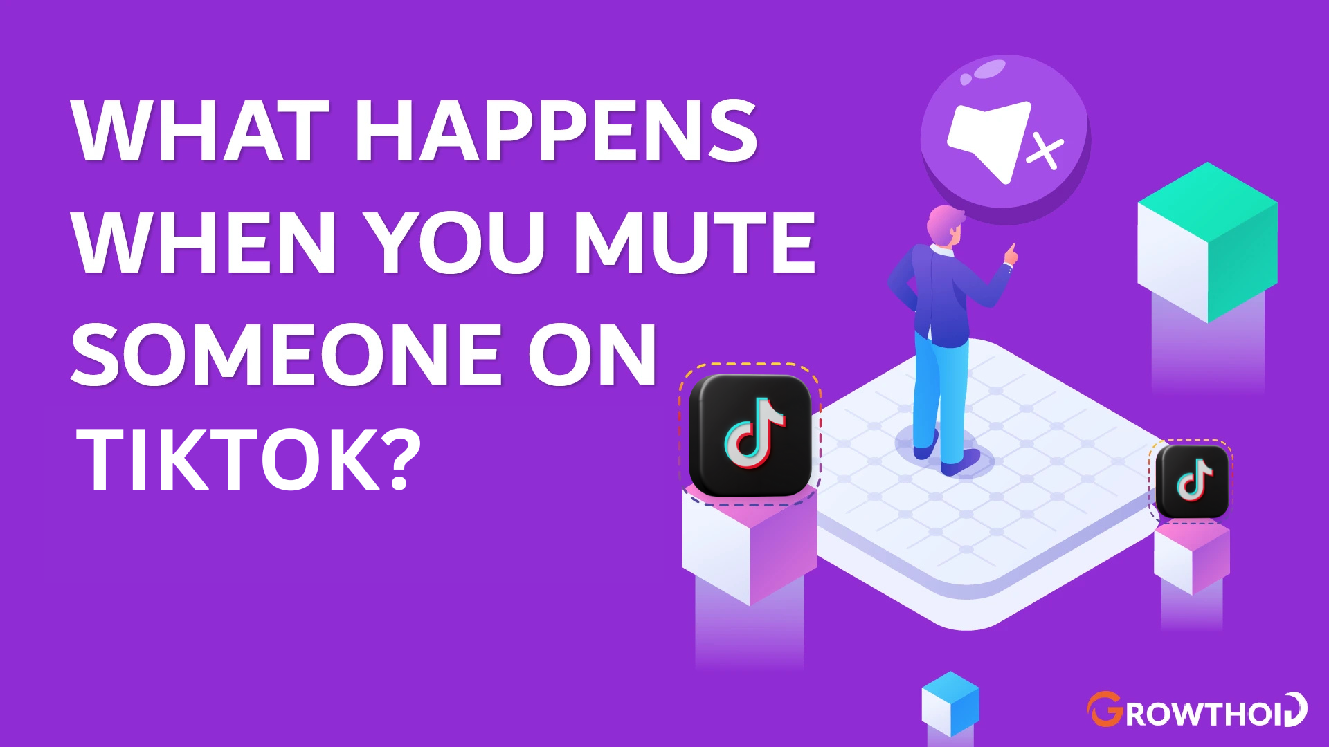 what happens when you mute someone on tiktok