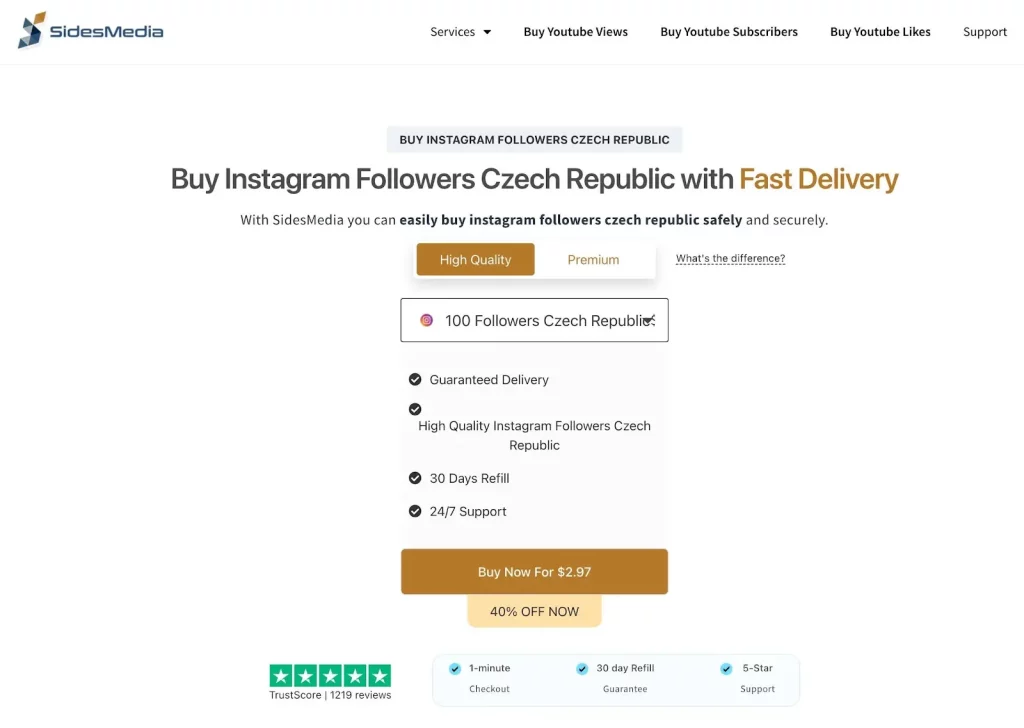 sidesmedia buy instagram followers with fast delivery