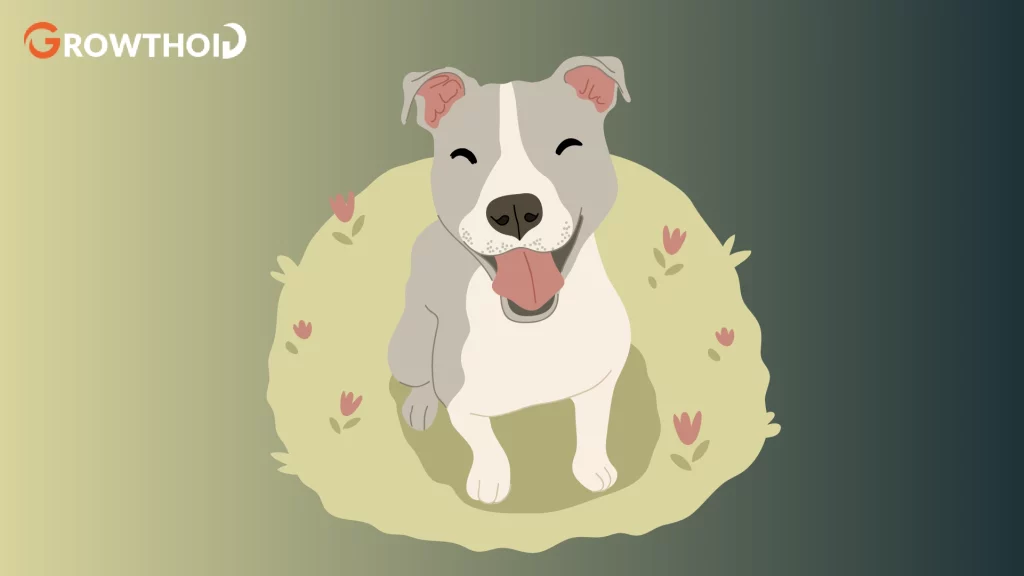 dog instagram