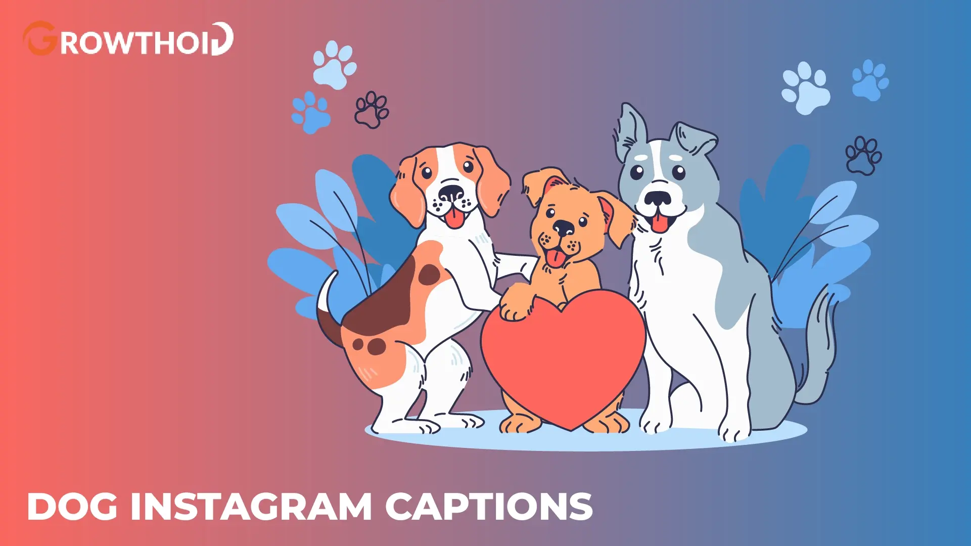 dog instagram captions