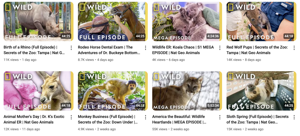 youtube video names personal branding